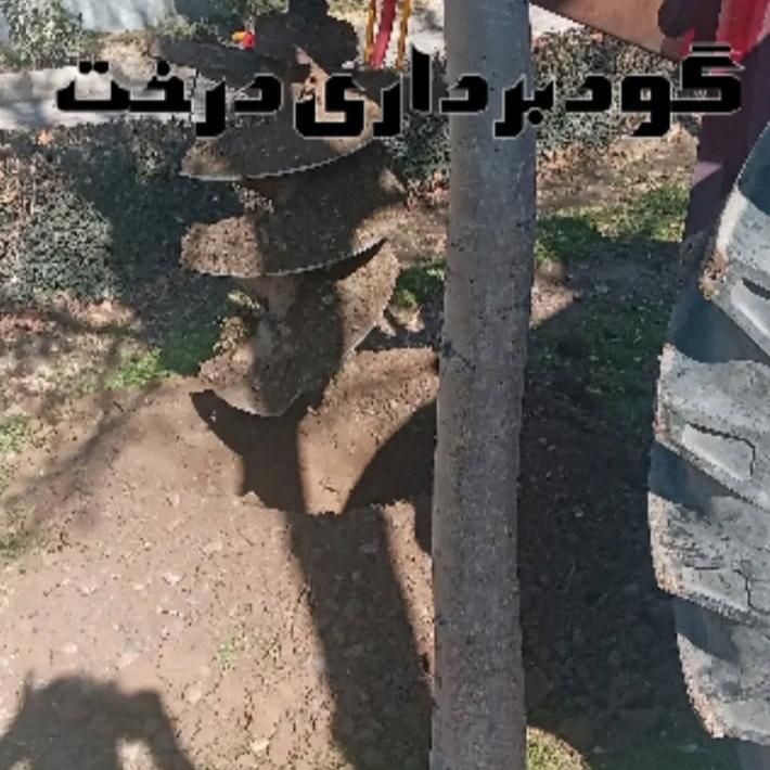 گود برداری درخت،،شخم ،،سم پاشی وغیره|خدمات باغبانی و درختکاری|اصفهان, جی شیر|دیوار