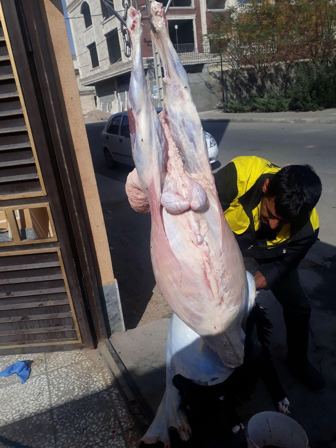 قصاب (سلاخ.ذبح)درمحل|خدمات پذیرایی، مراسم|ساوه, |دیوار