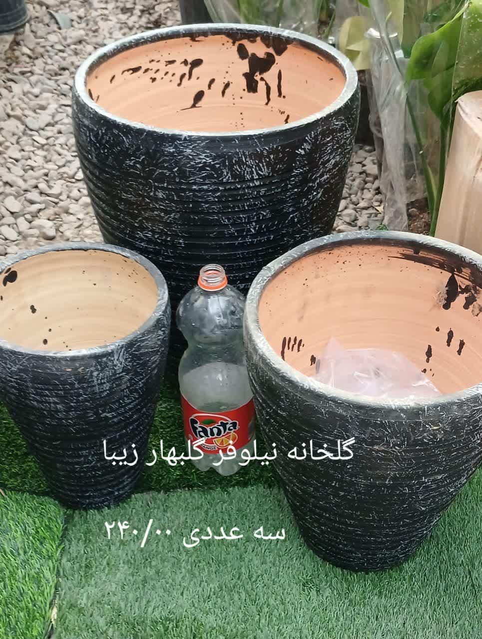 گل، گلدان، خاک، کود، بذر|عمده‌فروشی|گلبهار, |دیوار