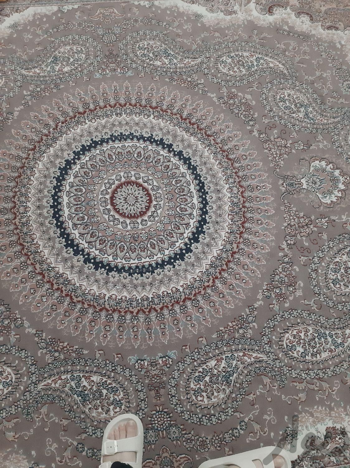 فرش ۹متری|فرش|تهران, فرحزاد|دیوار