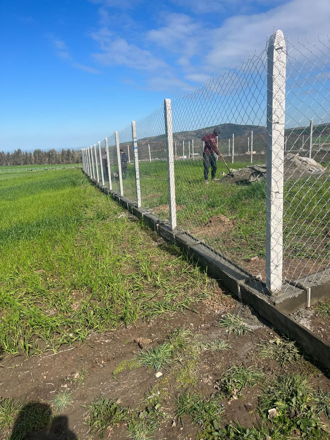 تولیدفنس پایه بتنی اجراصفرتاصدفنس کشی صادقی|خدمات باغبانی و درختکاری|گرگان, |دیوار