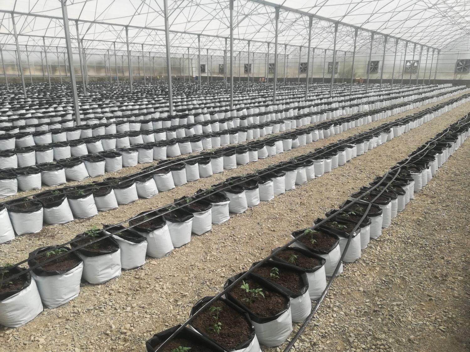 بستر جای گزینه کوکوپیت گلخانه گلهای آپارتمانی|خدمات باغبانی و درختکاری|تهران, تهرانسر شرقی|دیوار