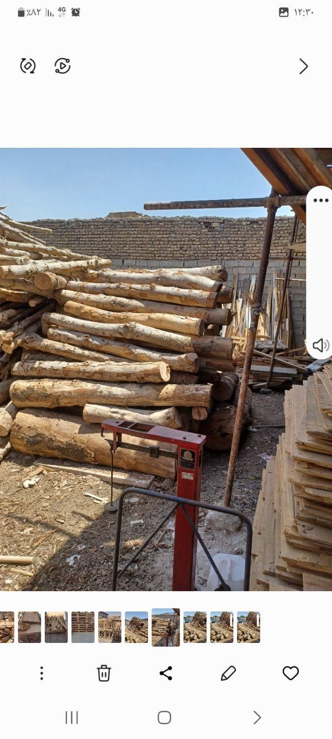 خرید وفروش انواع چوب وتخته و سه لایی پالت چوبی|عمده‌فروشی|تهران, شهرک ولیعصر جنوبی|دیوار