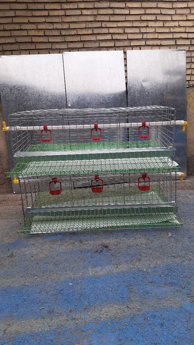 انواع قفس پرندگان|حراج|گلستان (تهران), |دیوار