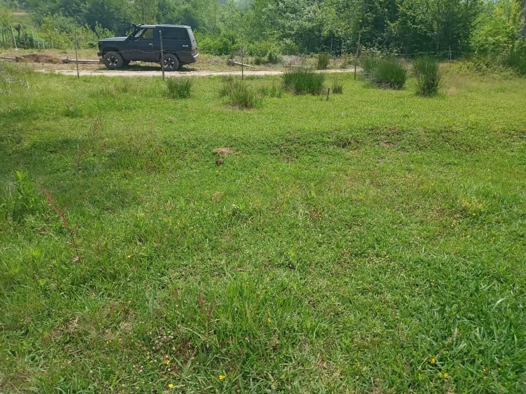 زمین / مسکونی / ویلایی / ۱۴۳۰ متری / چماچاه|فروش زمین و ملک کلنگی|رشت, منظریه|دیوار