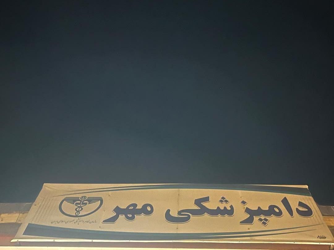 دامپزشکی مهر متخصص در درمان اسب|خدمات آرایشگری و زیبایی|سیرجان, |دیوار