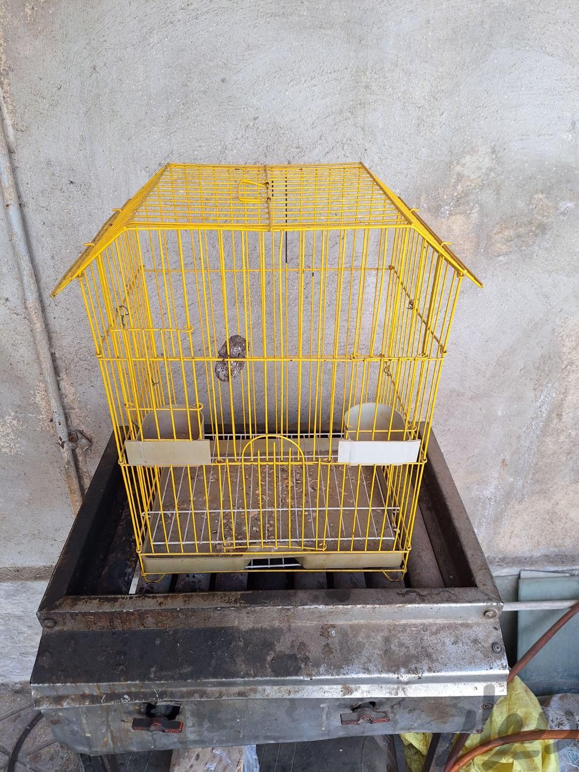 قفس کار کرده|لوازم جانبی مربوط به حیوانات|تهران, بازار|دیوار