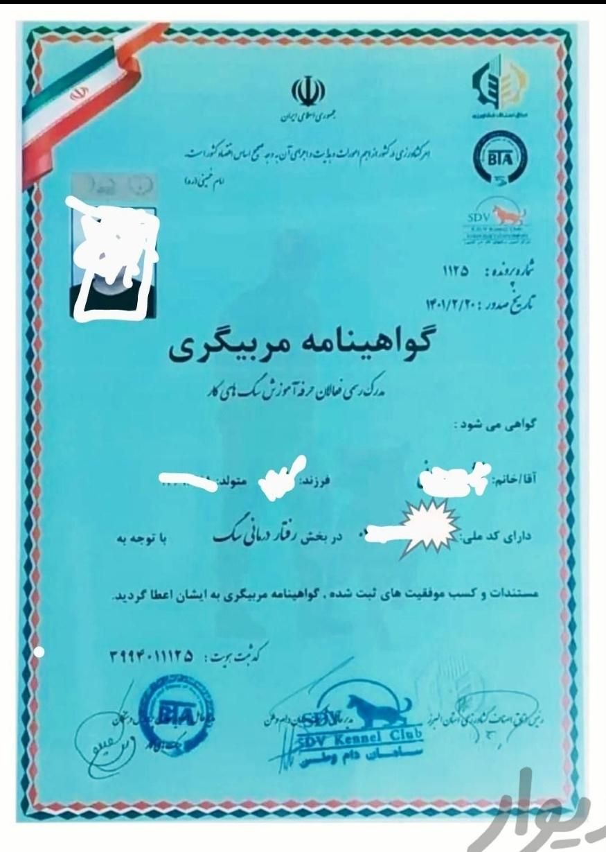 آموزش سگ مربی گارد و نگهبان تخصصی با ضمانت نامه|خدمات آموزشی|مشهد, وکیل‌آباد|دیوار