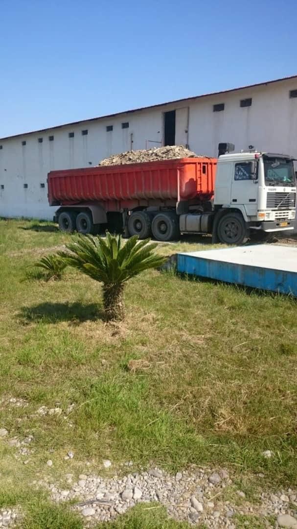 زل کود|خدمات باغبانی و درختکاری|بوشهر, |دیوار