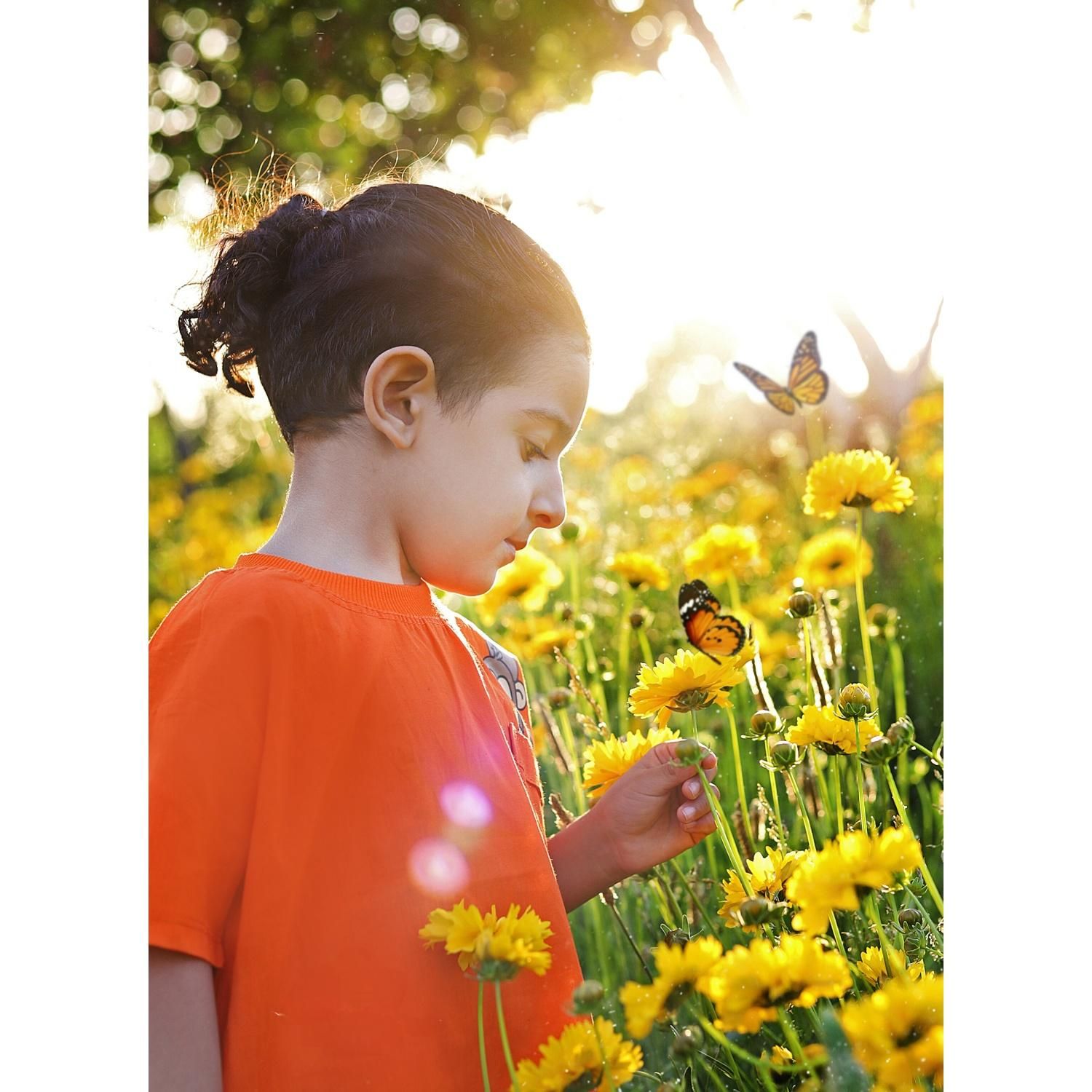 آتلیه تخصصی کودک و نوزاد انوش|خدمات پذیرایی، مراسم|مشهد, وکیلآباد|دیوار