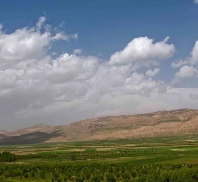 زمین ویلا باغی لوکس وتوپ برای شیرازیاوجنوبیای عزیز|فروش دفتر صنعتی، کشاورزی، تجاری|شیراز, ابیوردی|دیوار