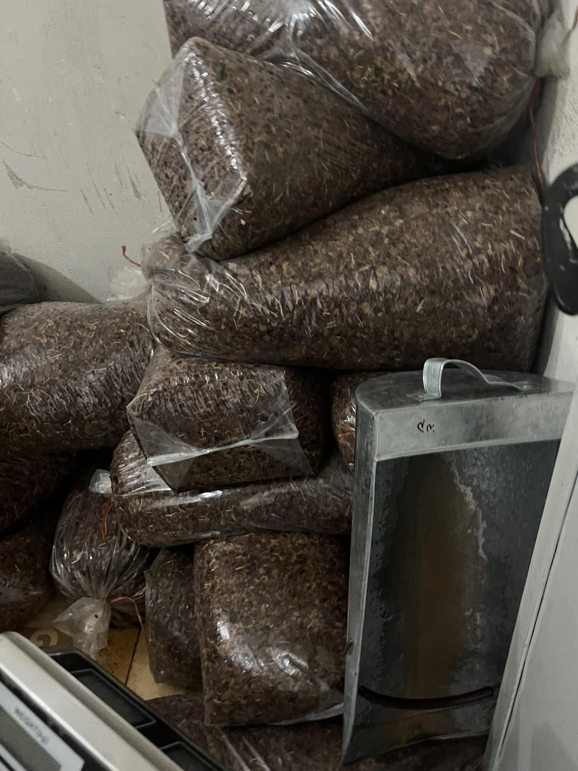 کشمش افتابی تاکستان|خوردنی و آشامیدنی|تاکستان, |دیوار