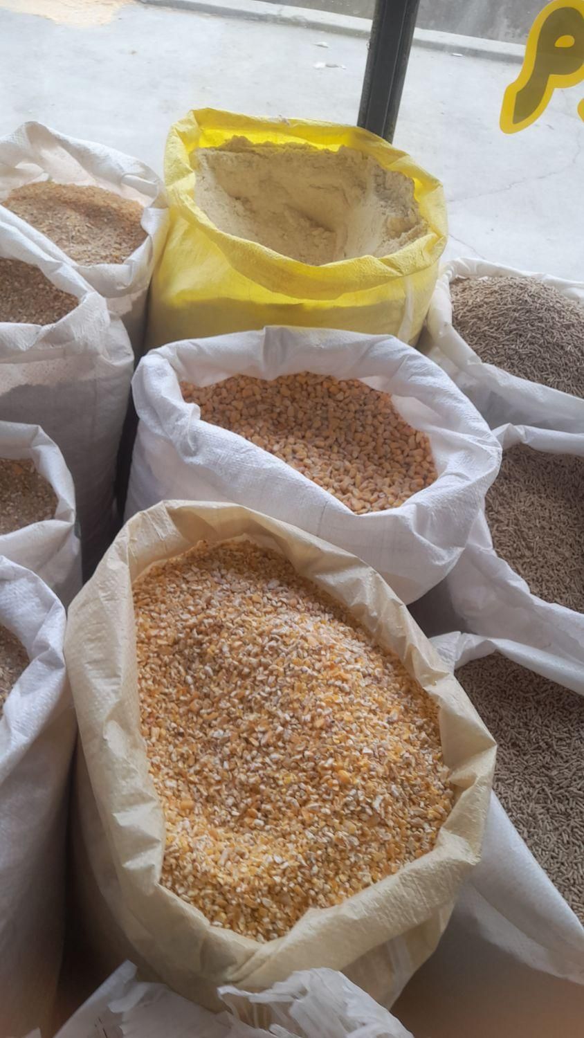 دان پروتئین بالا مرغ تخمگذار اقتصادی|لوازم جانبی حیوانات|تهران, شهرک استقلال|دیوار