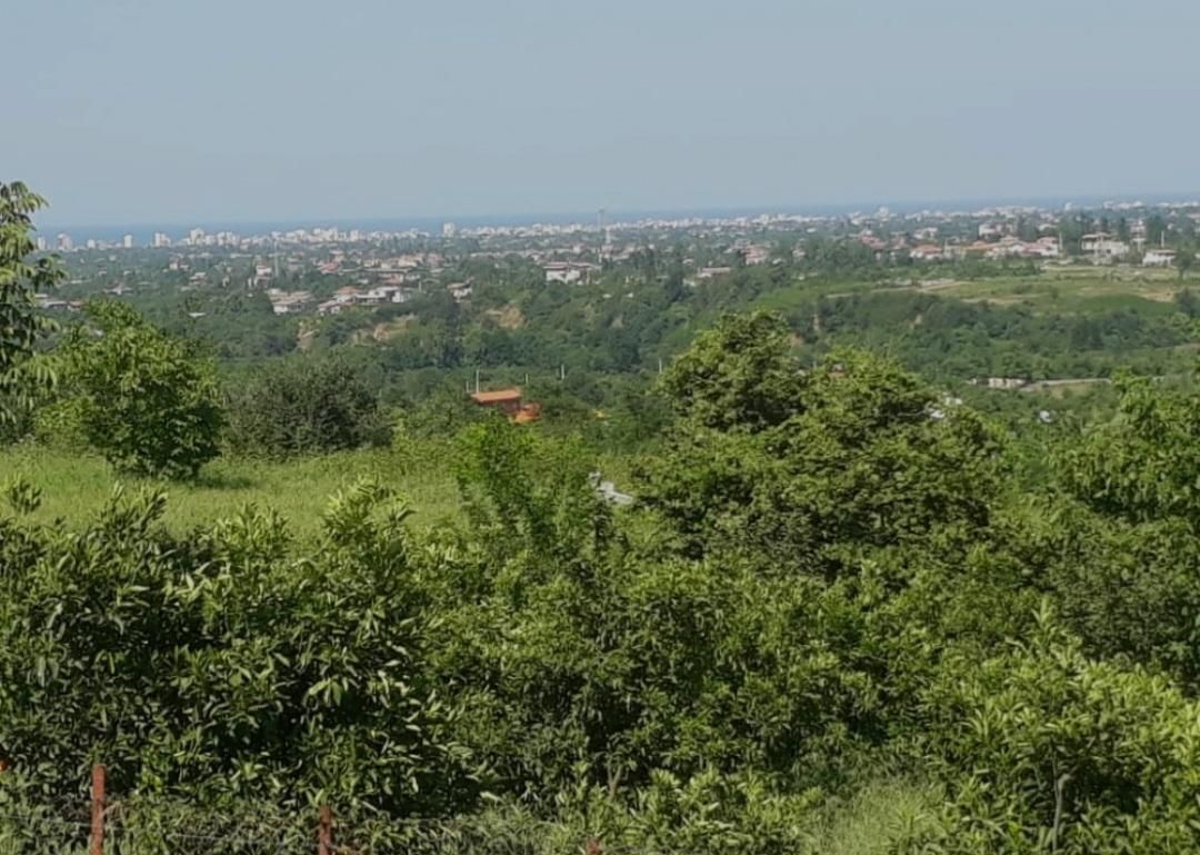 زمین مسکونی در بام تنکابن با دید ابدی با جوازساخت|فروش زمین و ملک کلنگی|تنکابن, |دیوار