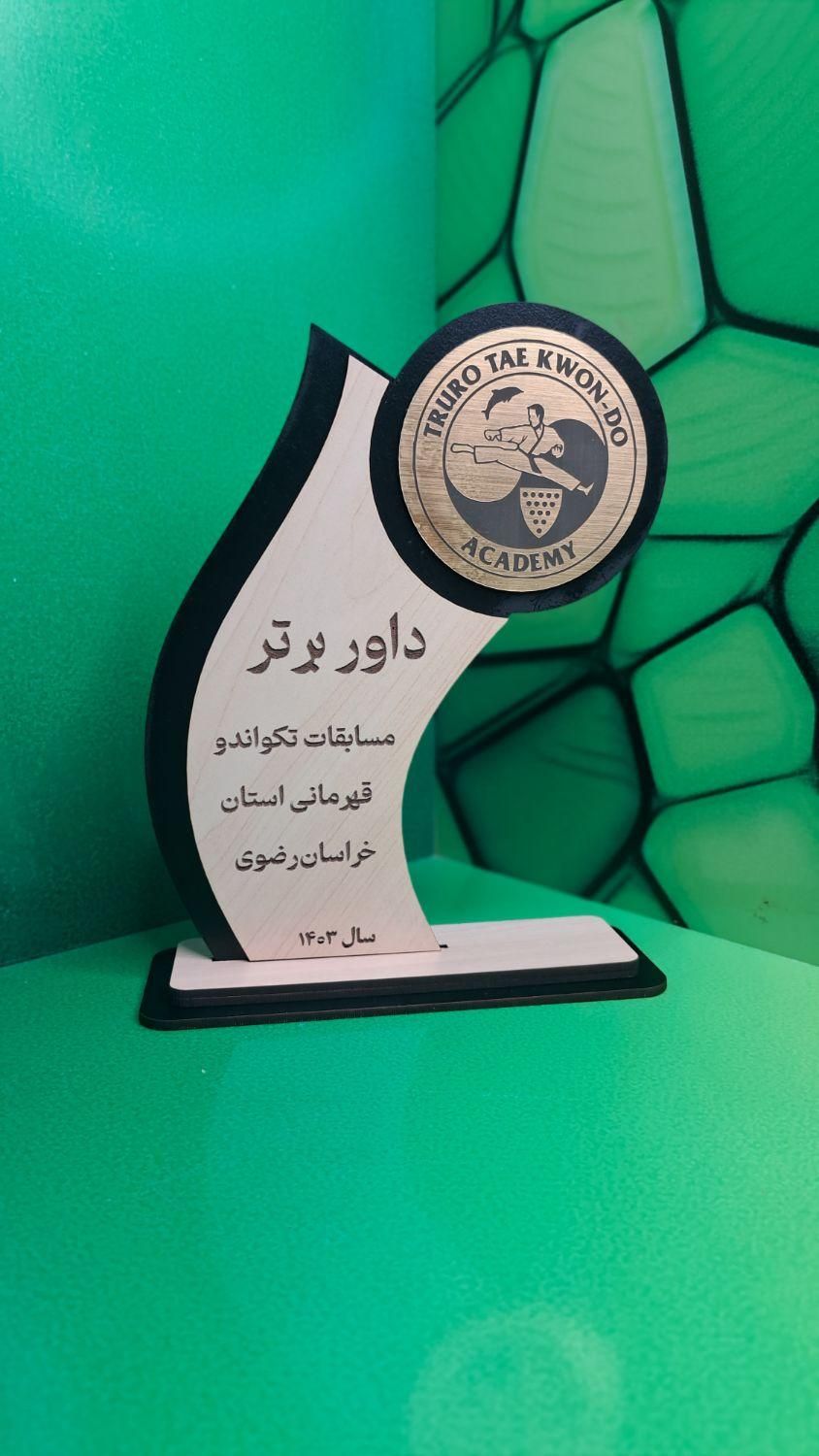 تندیس و تقدیرنامه|لوازم التحریر|مشهد, سرافرازان|دیوار