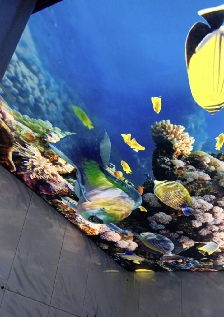 سقف کشسان کناف کناف کار کنافکاری کنافکار مجازی|خدمات پیشه و مهارت|کرج, جهانشهر|دیوار