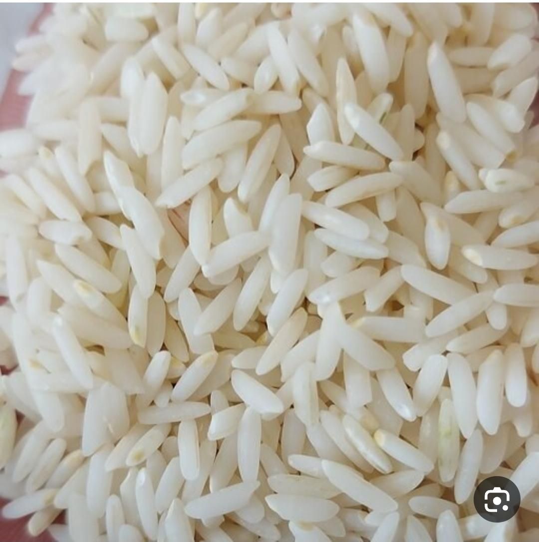 برنج مامان(اصل ممان میانه)|خوردنی و آشامیدنی|زنجان, |دیوار