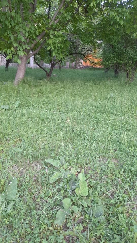 زمین کشاورزی درجواررودخانه روستای سیمیندشت(حصاربن)|فروش زمین و ملک کلنگی|فیروزکوه, |دیوار