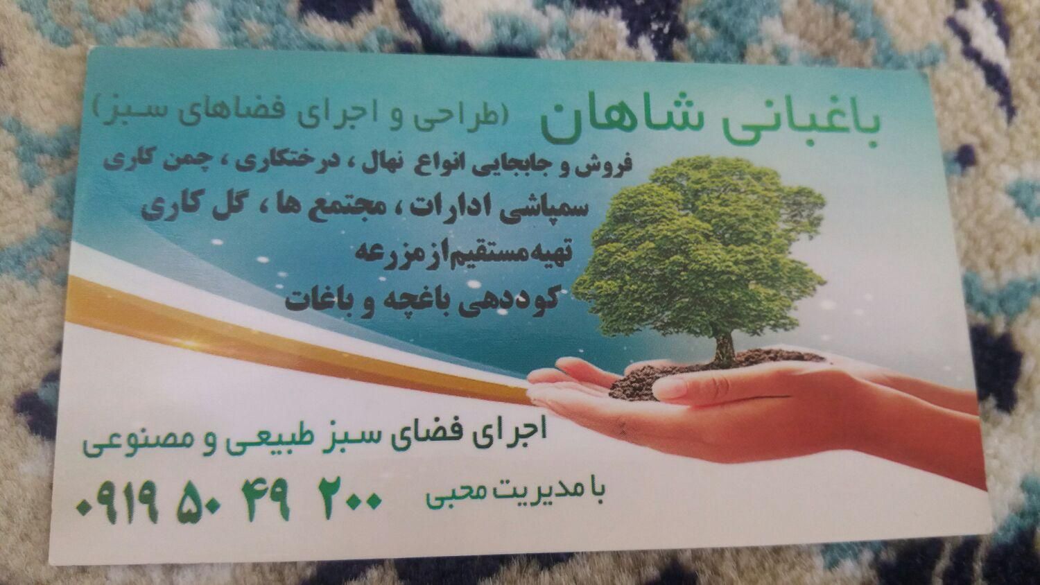 چمنکاری.کوددهی هرس گلکاری جابجای بیل زدن|خدمات باغبانی و درختکاری|پردیس, |دیوار