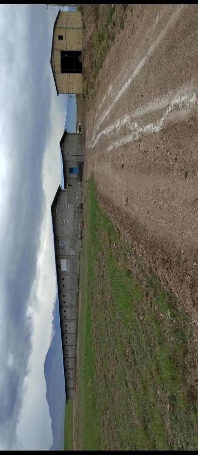 فروش زمین جای سوله روستای کوربلاغ معاوضه با ماشین|فروش دفتر صنعتی، کشاورزی، تجاری|مشگین شهر, |دیوار