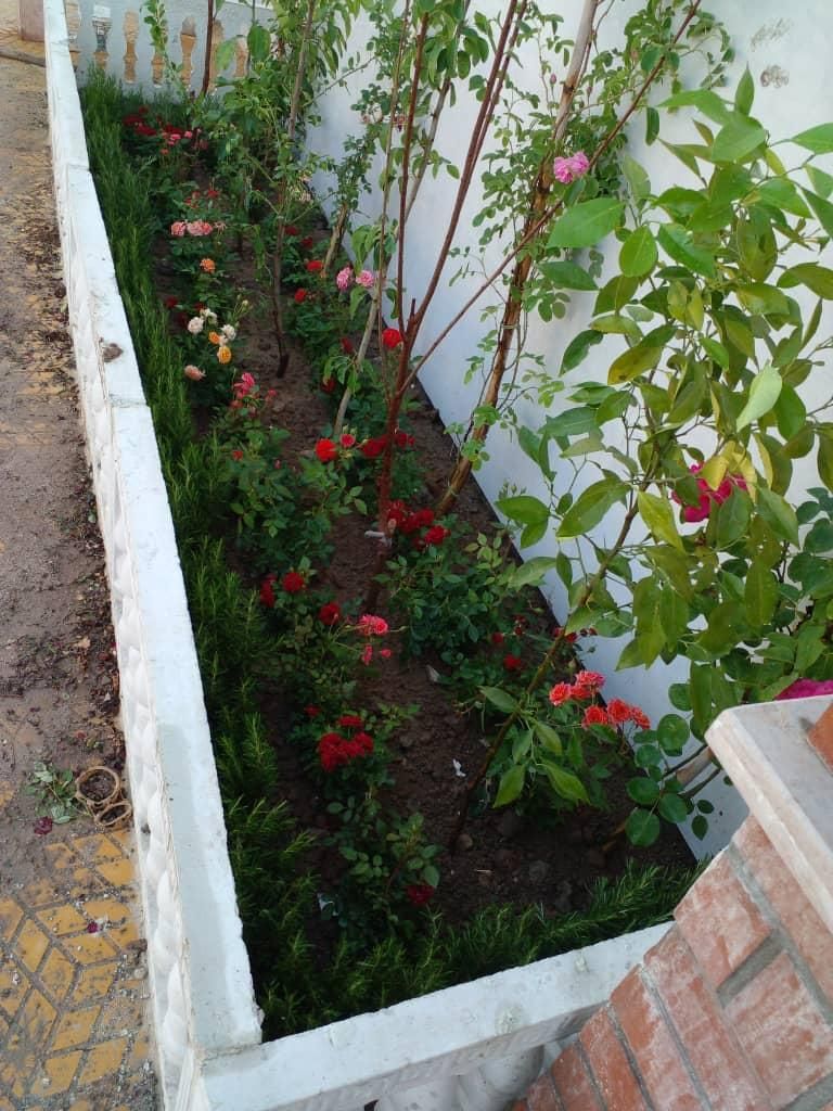 خدمات باغبانی هرسکاری گل کاری درتمام نقاط تهران و.|خدمات باغبانی و درختکاری|تهران, تهرانپارس شرقی|دیوار