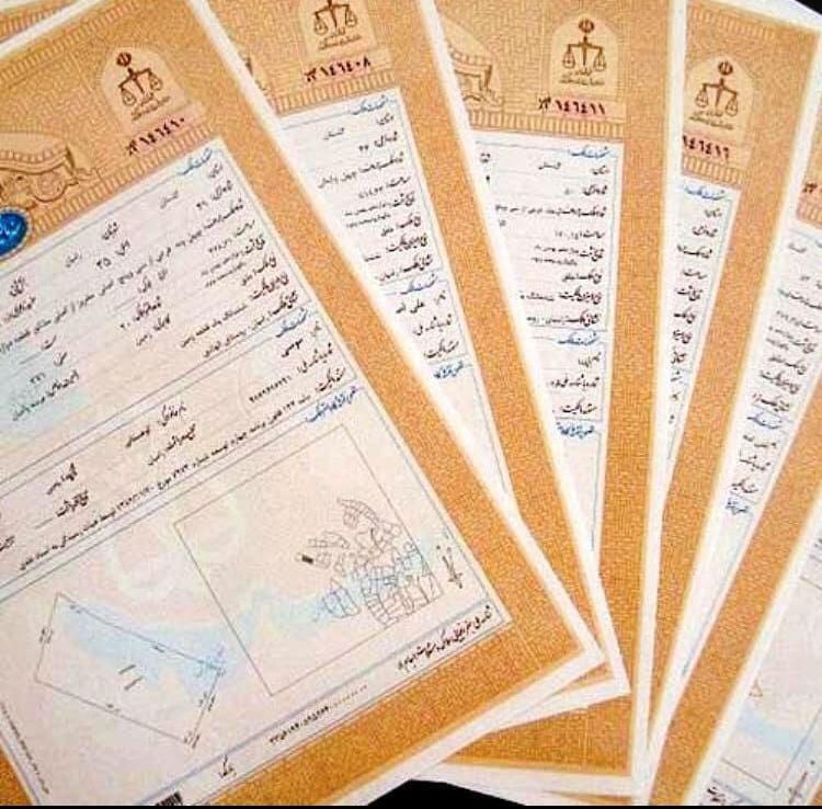 (دارالترجمه) دفتر ترجمه رسمی ۱۶۵۹ (ساشا)|خدمات پیشه و مهارت|تهران, نصرت|دیوار