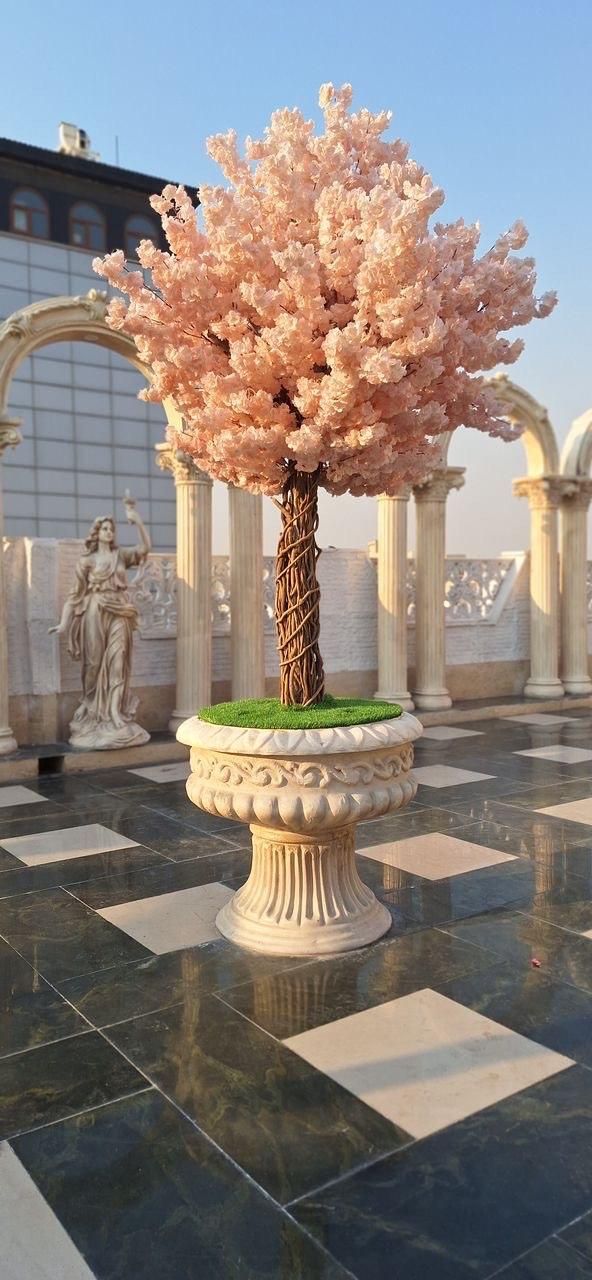 گلدان|گل و گیاه طبیعی|رامسر, |دیوار