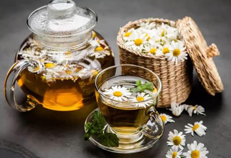 سلامت سرای آنلاین زندگی سبک تغذیه|خدمات پیشه و مهارت|مراغه, |دیوار