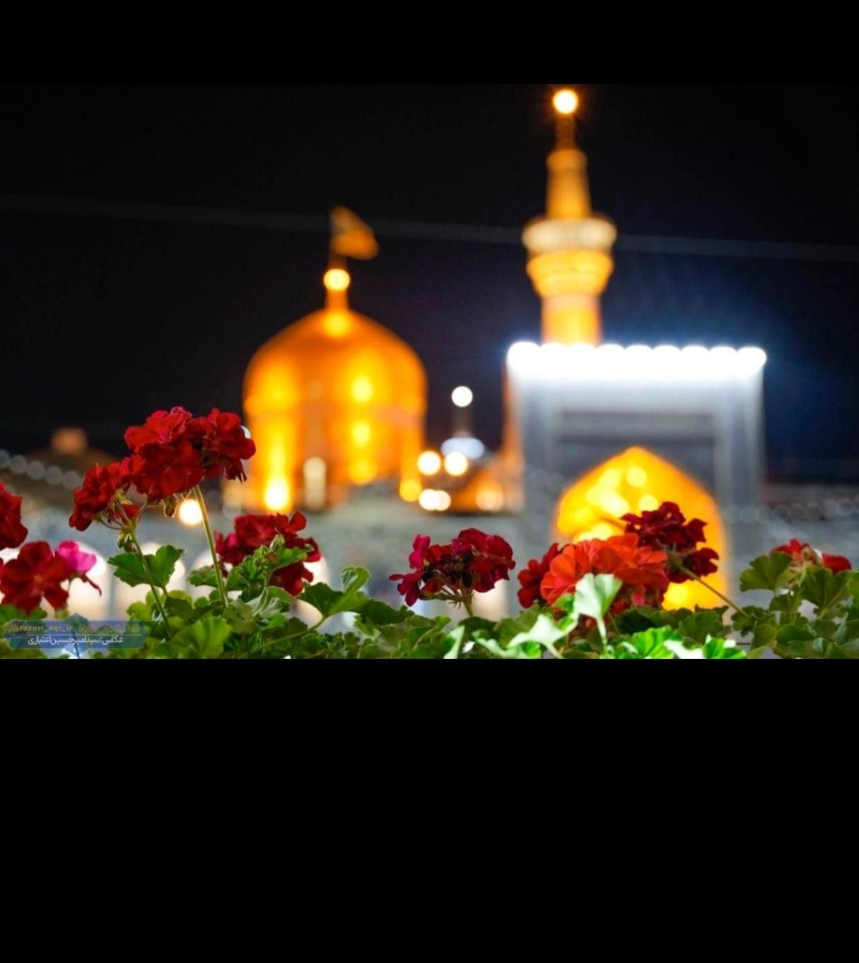 تور مشهد منو انتخابی « ریلی|تور و چارتر|اصفهان, شهید رجایی|دیوار