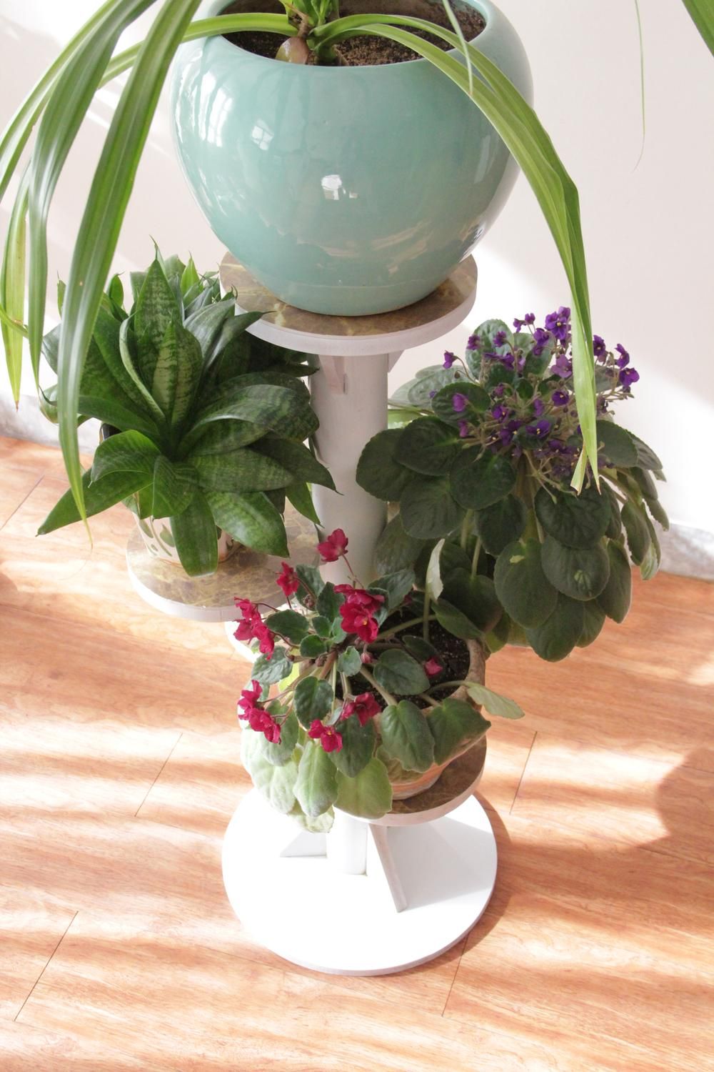 جای گلدان ۵ تایی فومیزه|گل و گیاه طبیعی|اصفهان, باغ فدک|دیوار