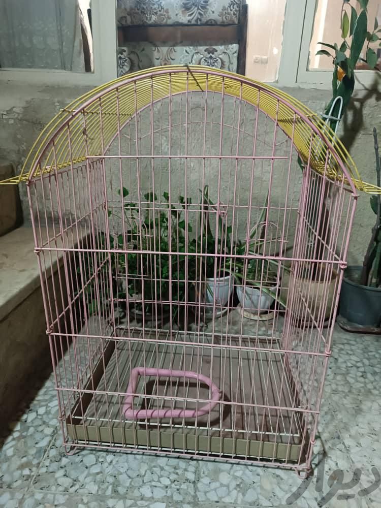 قفس طوطی و مرغ مینا|لوازم جانبی مربوط به حیوانات|تهران, امیریه|دیوار