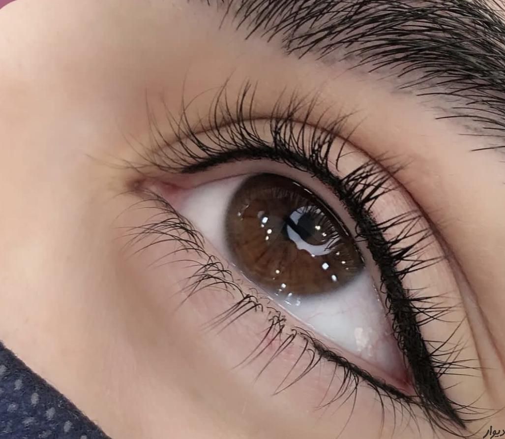 میکروبلیدشیدلب بن مژه بصورت حرفه ای|خدمات آرایشگری و زیبایی|زنجان, |دیوار