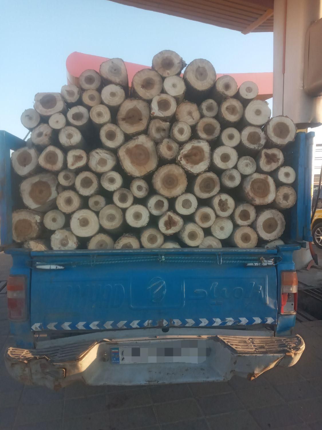 تخریب خانه های چوبی حذف درخت|خدمات باغبانی و درختکاری|اردبیل, |دیوار