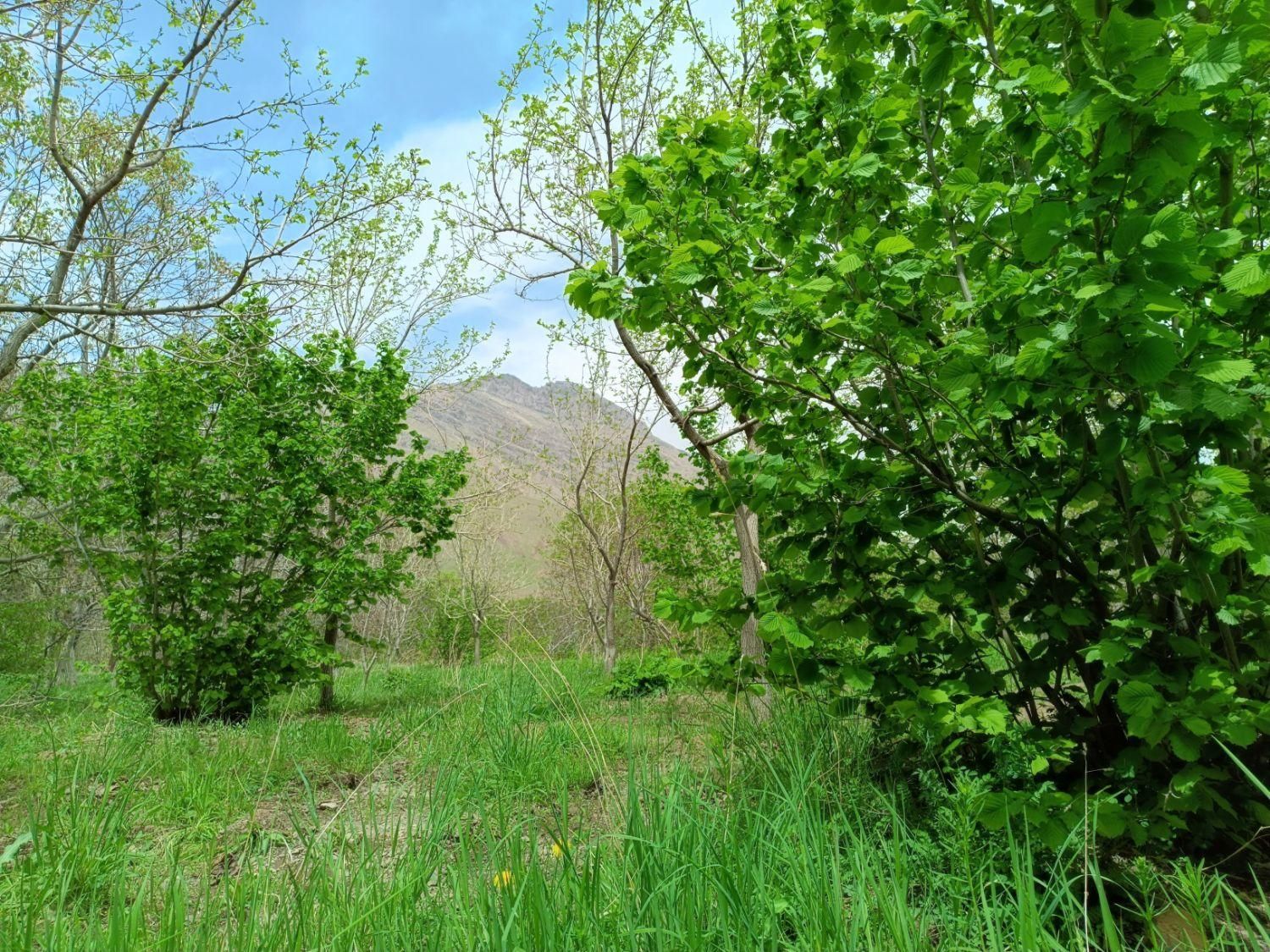 باغ روستای کهندان بهشت قم|فروش زمین و ملک کلنگی|قم, هفت تیر|دیوار