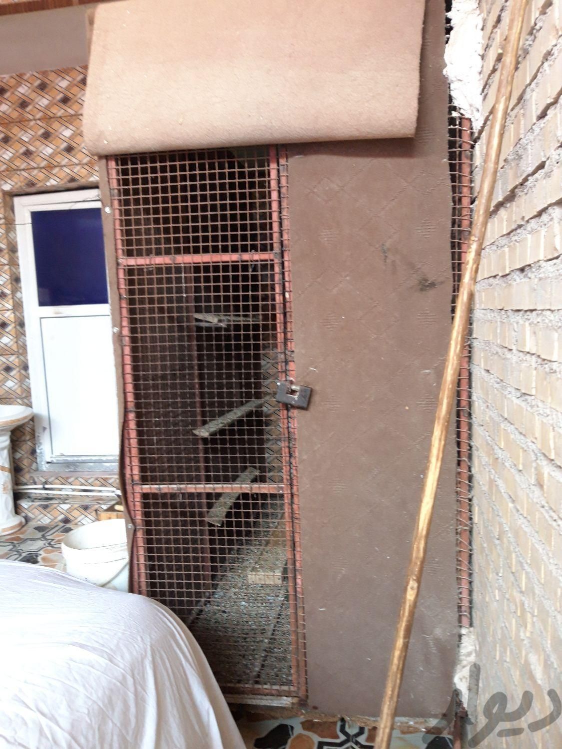 قفس برای حیوانات پرنده|لوازم جانبی مربوط به حیوانات|آبادان, |دیوار