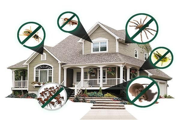 سمپاشی اسپادانا|خدمات نظافت|فولادشهر, B1|دیوار