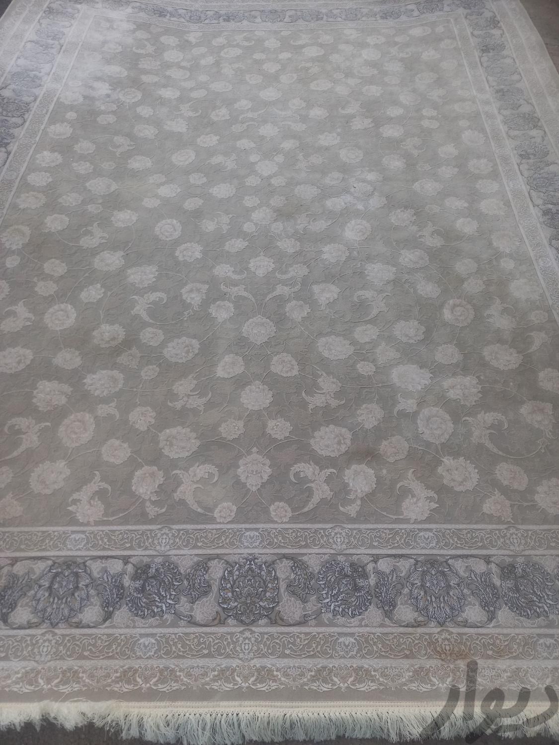 فرش قیطران ۱۲۰۰شانه تراکم ۳۶۰۰ رنگ فیلی|فرش|شاهرود, |دیوار