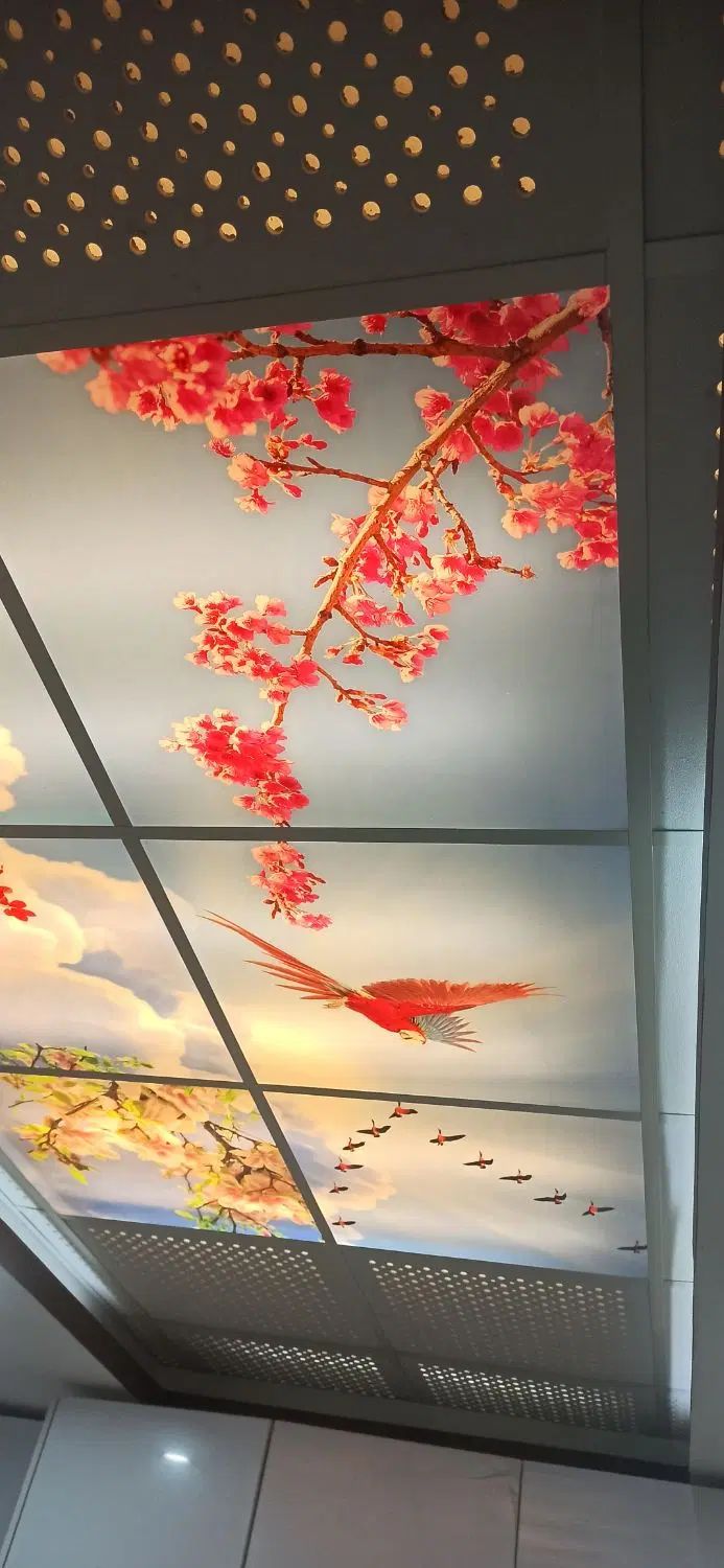 برقکاری، هوشمندسازی، آیفون، دزدگیر، پمپ آب|خدمات پیشه و مهارت|کرمانشاه, |دیوار