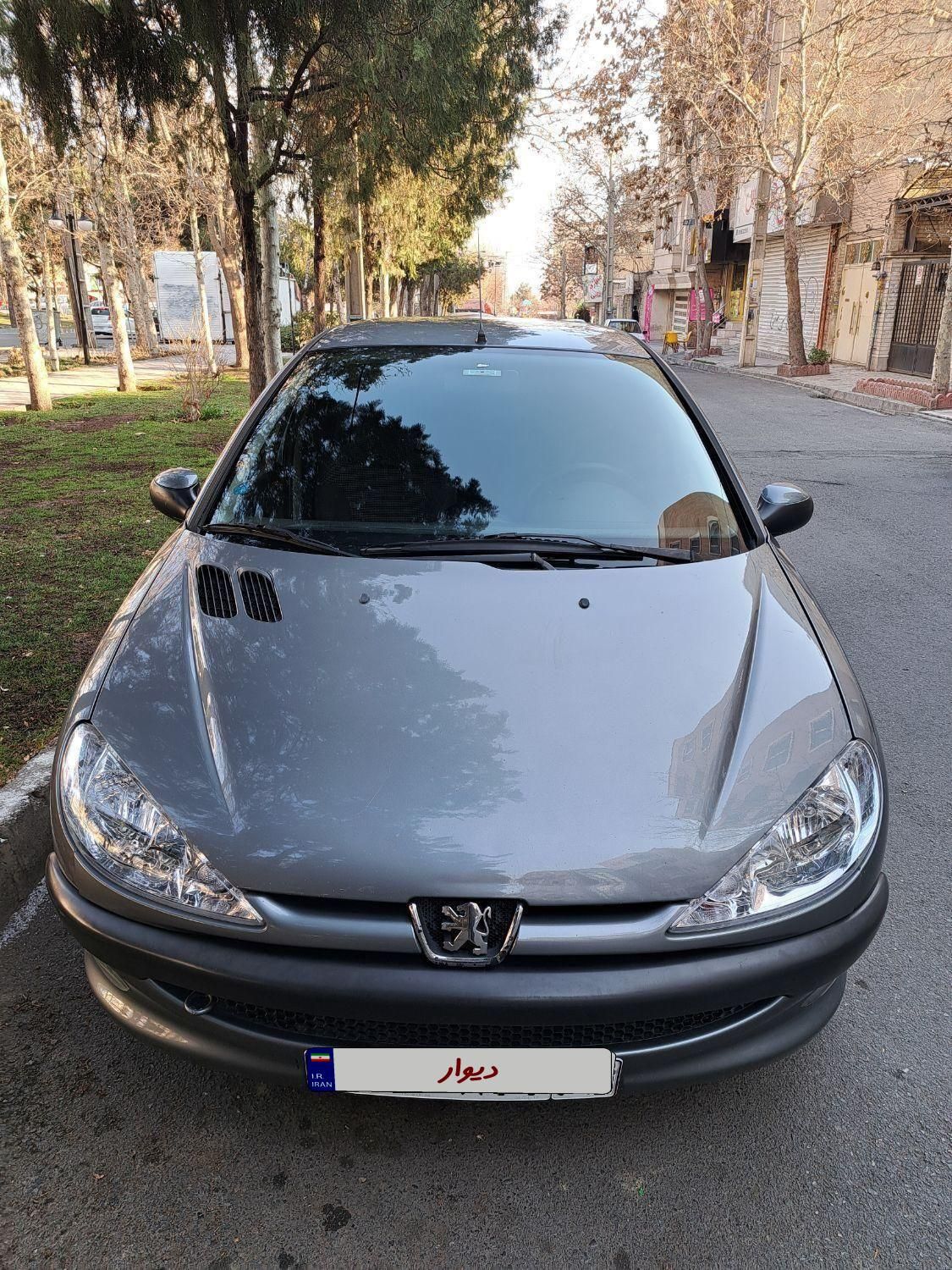 پژو 206 SD V8، مدل ۱۳۹۵|خودرو سواری و وانت|تهران, آرژانتین|دیوار
