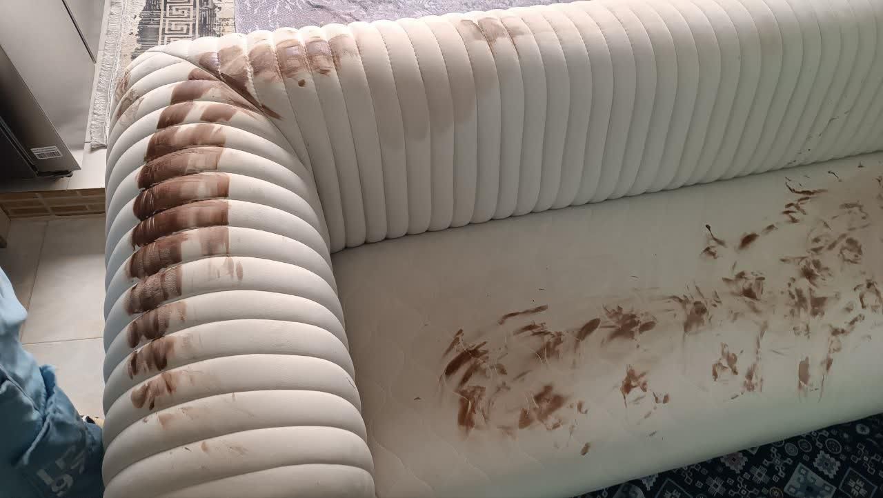 قالیشویی و مبل شویی لوتوس کمالشهر خرمدشت حصارک|خدمات نظافت|کرج, کمالشهر|دیوار