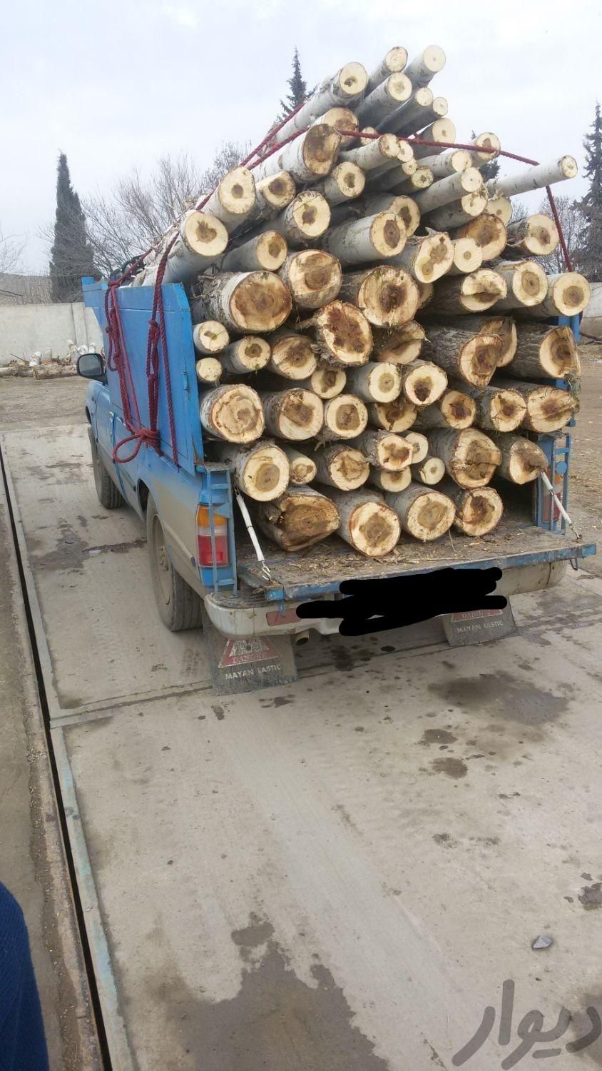 خرید چوب ارومیه|خدمات باغبانی و درختکاری|ارومیه, |دیوار
