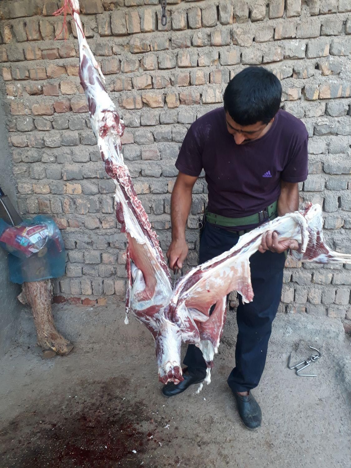 قصاب (سلاخ.ذبح)درمحل|خدمات پذیرایی، مراسم|ساوه, |دیوار