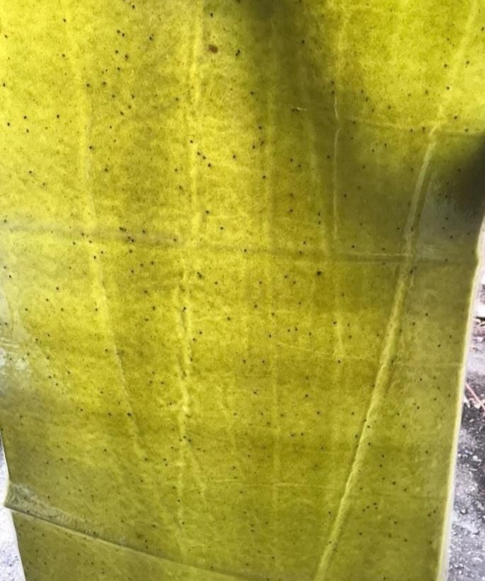 لواشک های تخته ای ورقه ای|عمدهفروشی|سراوان, |دیوار