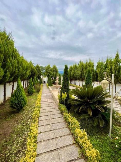 ویلانیم پیلوت جنگلی/مبله کامل/مدارک قابل استعلام|فروش خانه و ویلا|نور, |دیوار