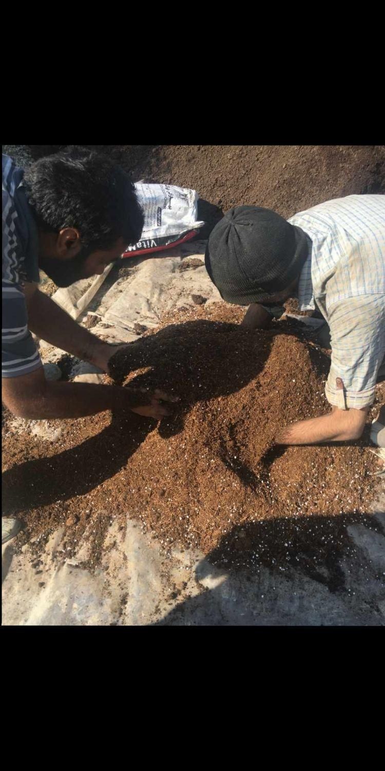خاک.   باغچه  و  فلاورباکس  گلدان|خدمات باغبانی و درختکاری|تهران, تهرانسر شرقی|دیوار