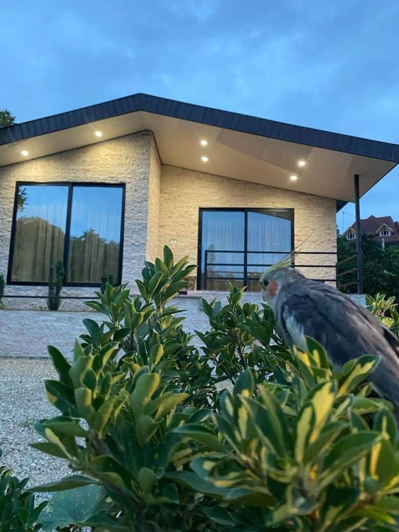 کلبه دنج برای سخت پسندها|اجارهٔ کوتاهمدت ویلا و باغ|تنکابن, |دیوار