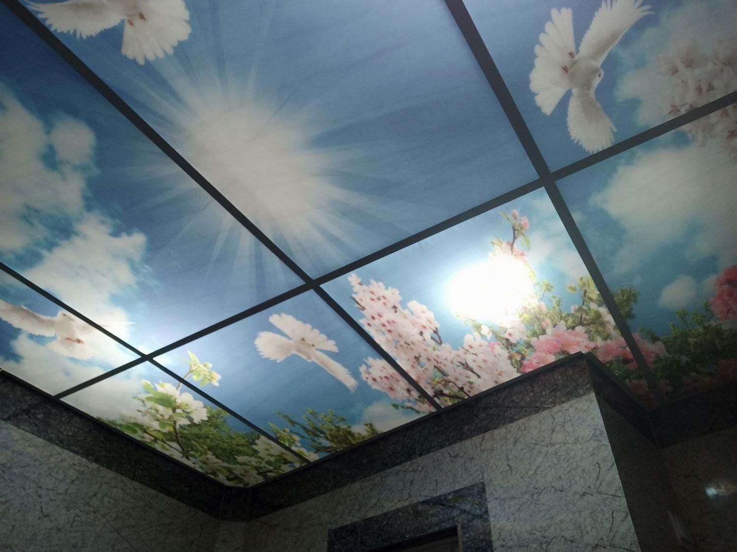 کناف . فروش . اجرا|عمدهفروشی|رامسر, |دیوار