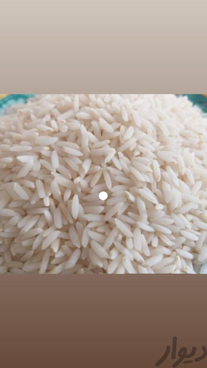 برنج سالم دورود عمده|عمده‌فروشی|دورود, |دیوار