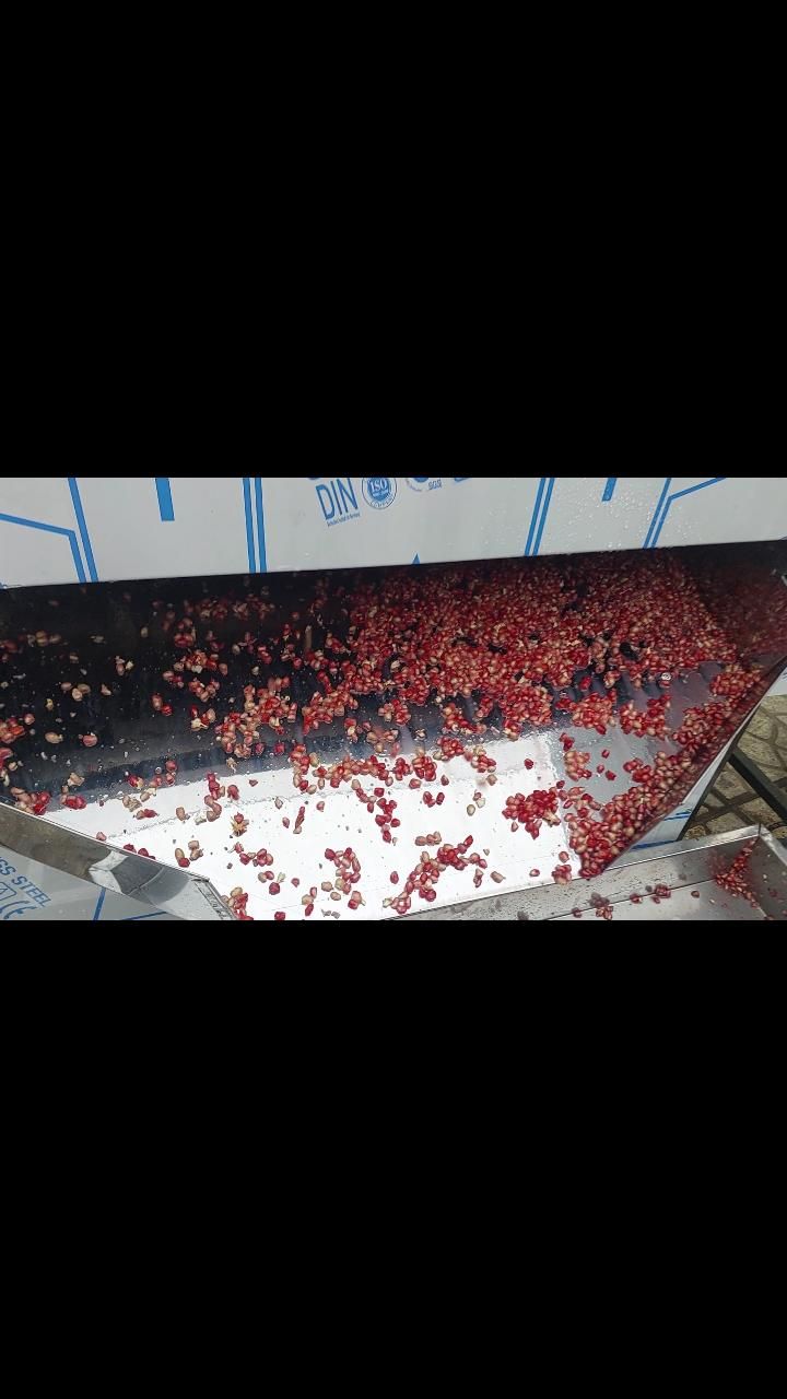 دستگاه دون کن انار+ دانه گیر+ آب گیری+ دونه گیر|ماشین‌آلات صنعتی|اصفهان, سنبلستان|دیوار