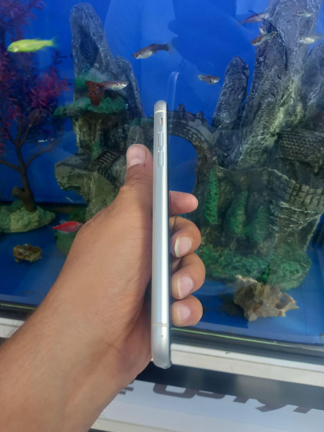 اپل iPhone 11|موبایل|کرج, گلشهر|دیوار